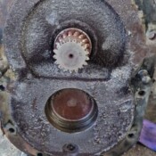 Geared motors oil level (1)